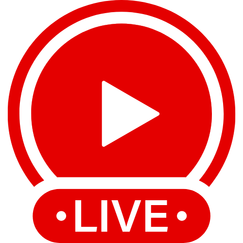 Stripchat Similar | Live Webcam Shows & Interactive Adult Entertainment